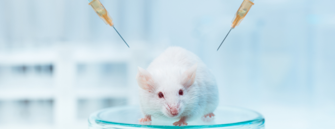 ・ﾎ・Rｴｲ僂騅2-1