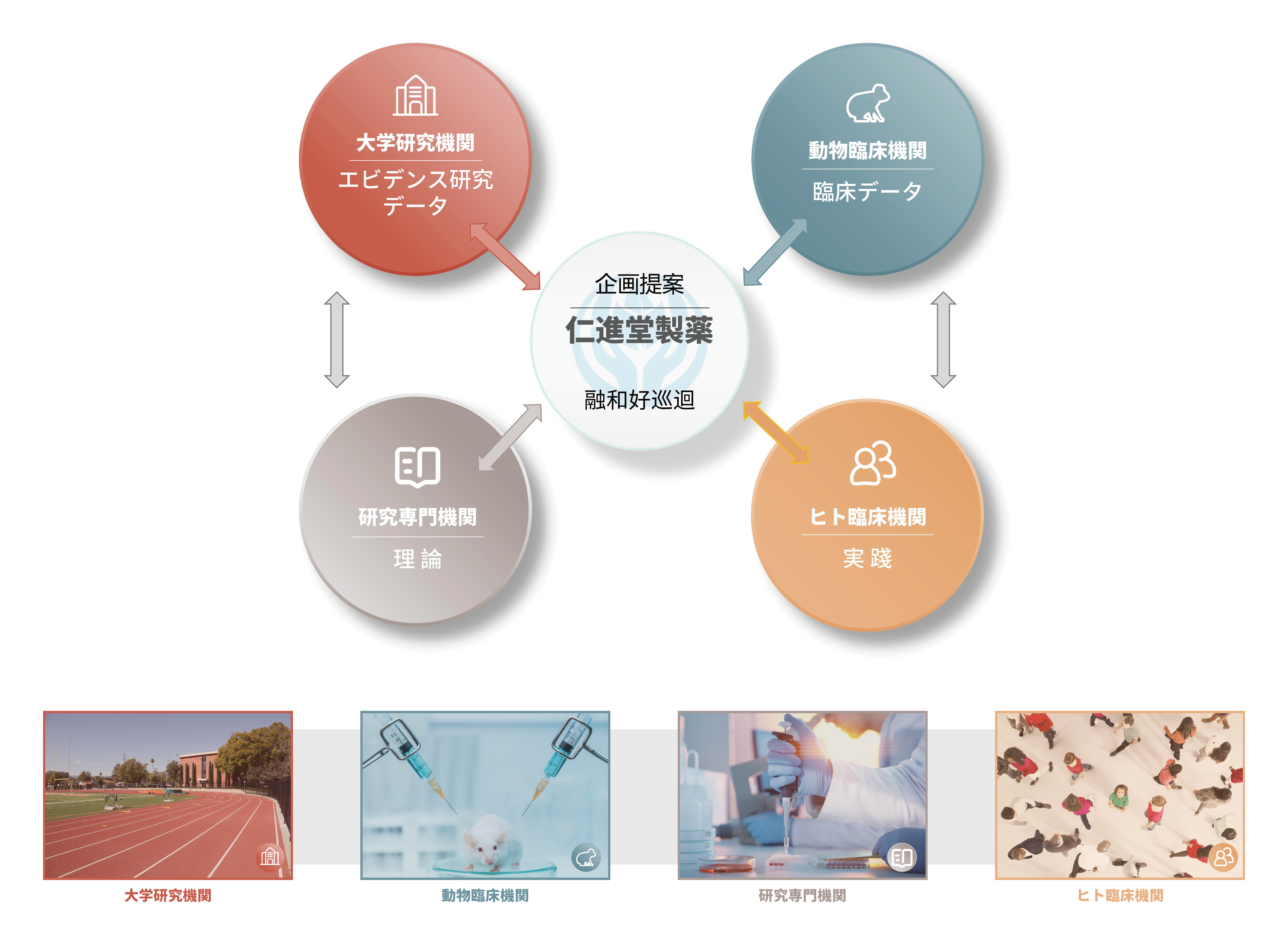 仁進堂製薬_全体イメージ